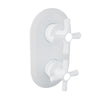 Baril Complete thermostatic pressure balanced shower control valve with 1-way diverter