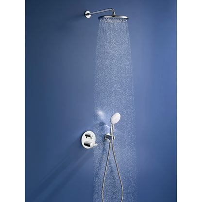Grohe Tempesta 250 Rain Shower Head, 9 7⁄8" - 1 Spray, 1.75 GPM (6.6 L/min)