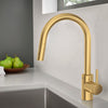 Concetto Single-Handle Pull Down Kitchen Faucet Dual Spray 1.75 Gpm - Golzar Home