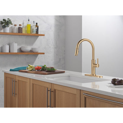 Delta Nicoli J Spout