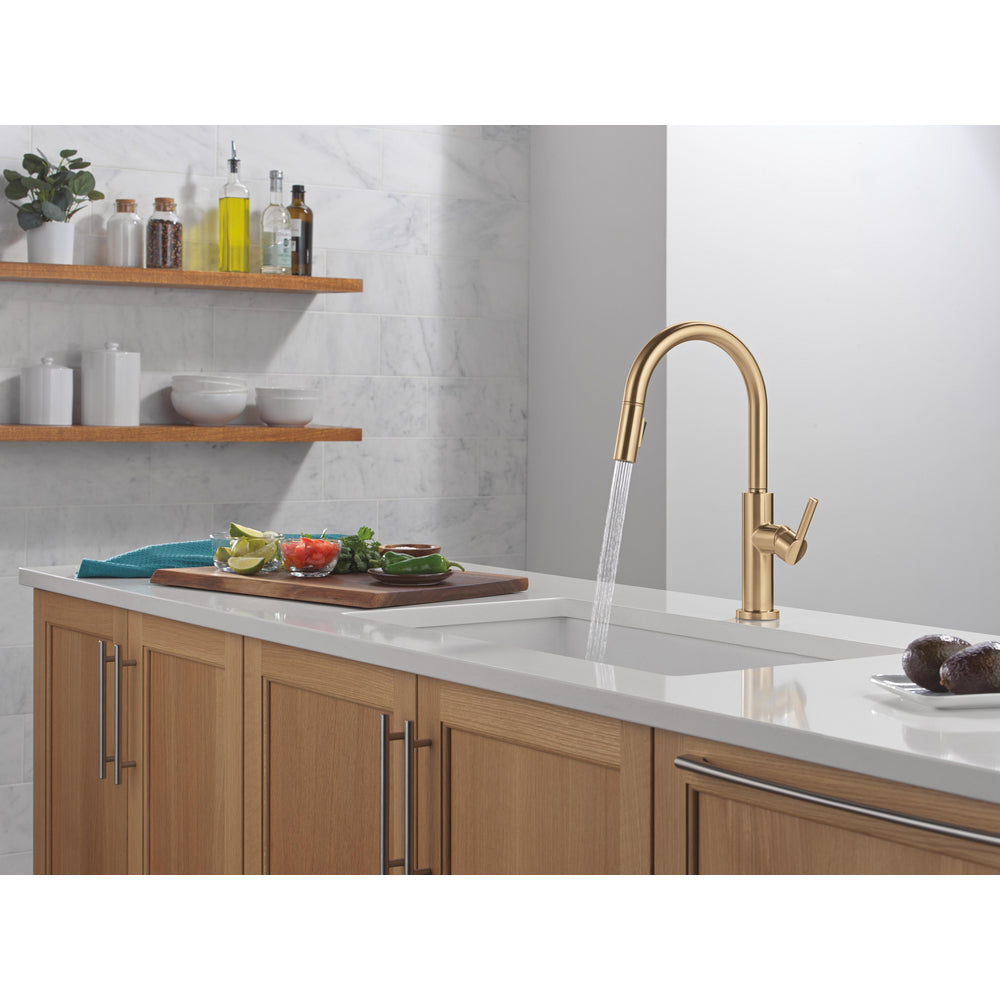 Delta Nicoli J Spout