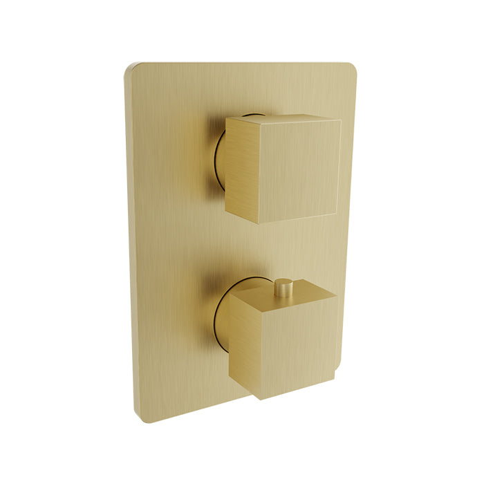 Baril Complete thermostatic pressure balanced shower control valve with 2-way diverter