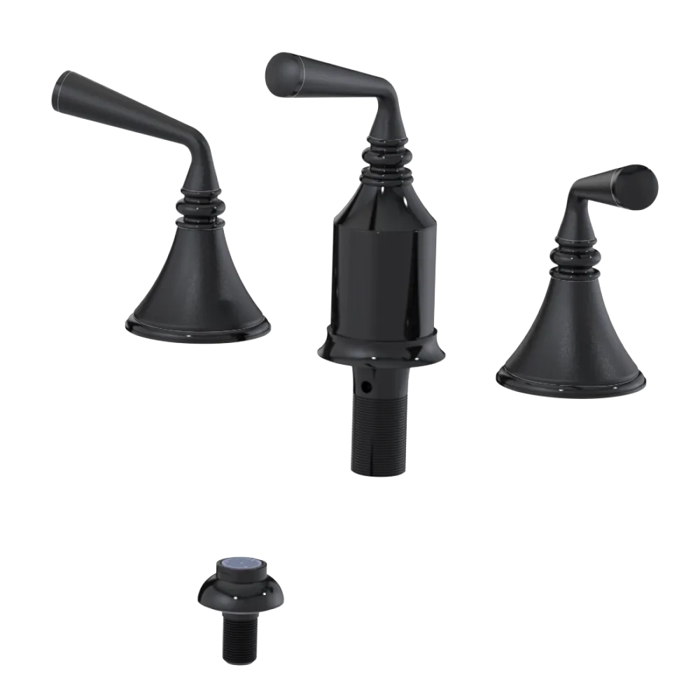 Rubinet Bidet Fitting with Spray, Diverter, and Vacum Breaker (Less Drain) Black