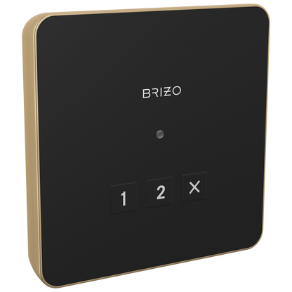 Brizo Square Exterior Control