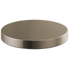 Brizo Hole Cover