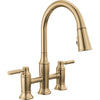 Renaldi Pull-down Bridge Matte Black Pray 2L - Lumicoat Champagne Bronze