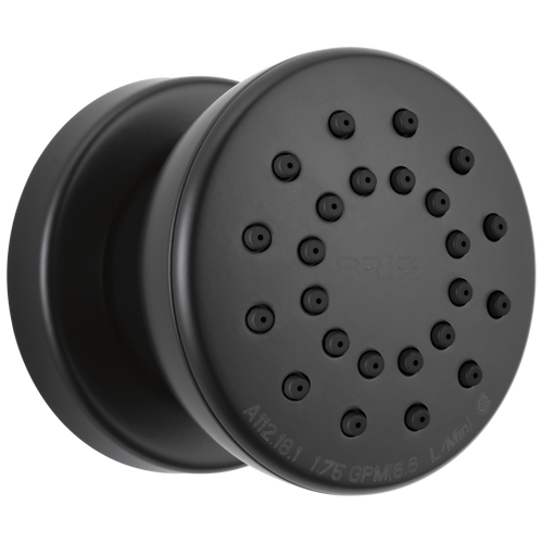 Brizo Touch Clean Round Body Spray