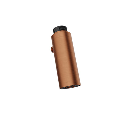 Baril Brass 2-spray hand shower
