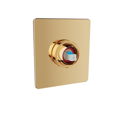 Baril Pressure balanced shower valve (without handle)