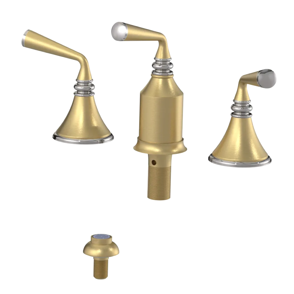 Rubinet Bidet Fitting with Spray, Diverter, and Vacum Breaker (Less Drain) Satin Brass