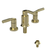 Rubinet Bidet Fitting with Spray, Diverter, and Vacuum Breaker (less drain) Gold