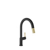 Baril Single-hole kitchen faucet with 2-function pull-down spray