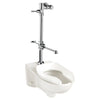 American Standard Ultima Manual Flush Valve With Bedpan Washer Assembly, Straight Tube, 1.28 gpf/4.8 Lpf