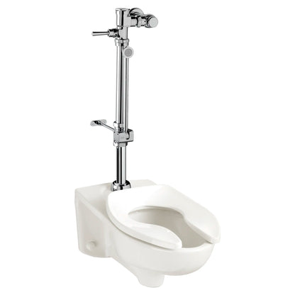 American Standard Ultima Manual Flush Valve With Bedpan Washer Assembly, Straight Tube, 1.28 gpf/4.8 Lpf