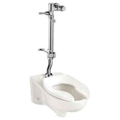 American Standard Ultima Manual Flush Valve With Bedpan Washer Assembly, Offset Tube, 1.28 gpf/4.8 Lpf