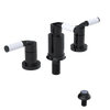 Rubinet Bidet Fitting with Spray, Diverter, and Vacum Breaker (Less Drain) Black