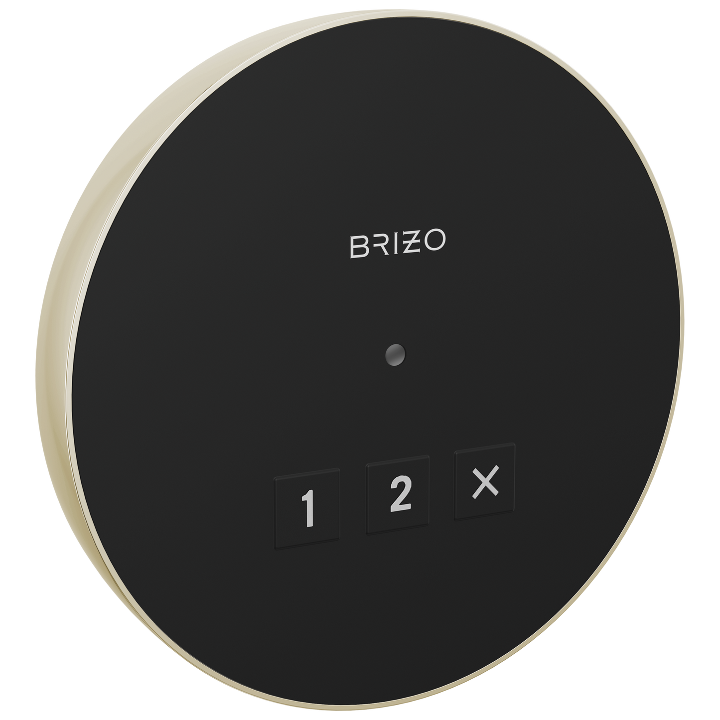 Brizo Round Exterior Control
