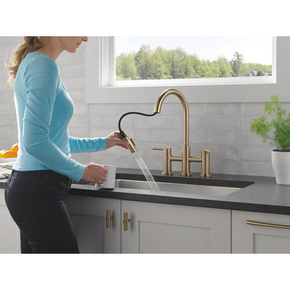 Delta Nicoli Pull-Down Bridge