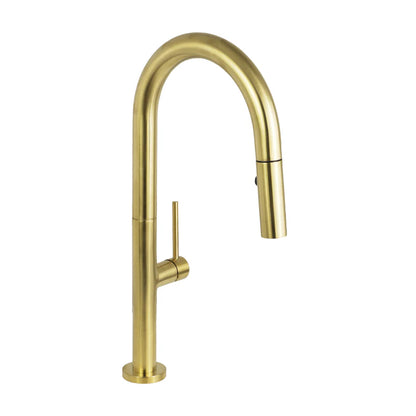 Elegante Pull-Down Dual Spray Kitchen Faucet