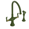 Rubinet Two Handle Single Hole Kitchen Set with Hand Spray Green Envy