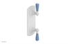 JAMESTOWN - Thermostatic Valve with Volume Control or Diverter with "Light Blue" Accents 4-738
