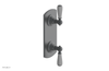 JAMESTOWN - Thermostatic Valve with Volume Control or Diverter with "Grey" Accents 4-738