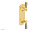 JAMESTOWN - Thermostatic Valve with Volume Control or Diverter with "Grey" Accents 4-738