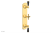 JAMESTOWN - Thermostatic Valve with Two Volume Control with "Black" Accents 4-740