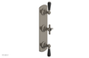 JAMESTOWN - Thermostatic Valve with Two Volume Control with "Black" Accents 4-740