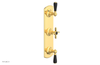 JAMESTOWN - Thermostatic Valve with Two Volume Control with "Black" Accents 4-740