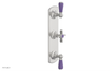 JAMESTOWN - Thermostatic Valve with Two Volume Control with "Purple" Accents 4-740