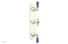 JAMESTOWN - Thermostatic Valve with Two Volume Control with "Purple" Accents 4-740