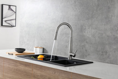 Aquaflo Echo Pull-Down Kitchen Faucet - KFE16