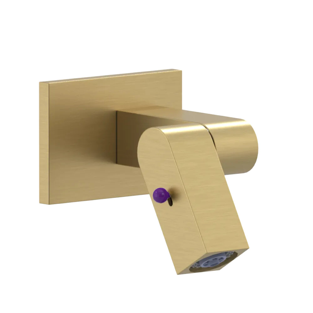 Rubinet Wall Mount Bidet & Foot Rinse with Dual Function Spray Satin Brass