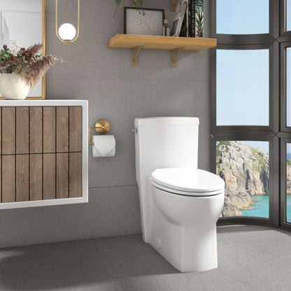 Contrac Carlaw – 4710BAVU – 4.8 Lpf One Piece Elongated Toilet with Unlined Tank and Smooth Close Toilet Seat