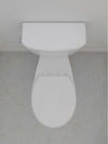 Contrac Carlin – 4722FGFV – 4.8 LPF Flush Guard® Round Bowl