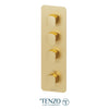 EXTENZA Thermostatic 3 functions
