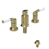 Rubinet Bidet Fitting with Spray, Diverter, and Vacuum Breaker (less drain) Gold