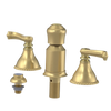 Rubinet Bidet Fitting with Spray, Diverter, and Vacum Breaker (Less Drain) Satin Gold