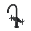 Rubinet Single Hole Dual Handle Lav. Set with LaSalle Spout (less drain) Matt Black