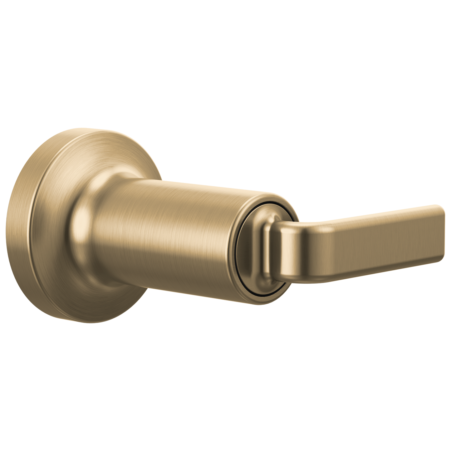 Brizo Sensori Volume Control Trim With Twist Lever Handle