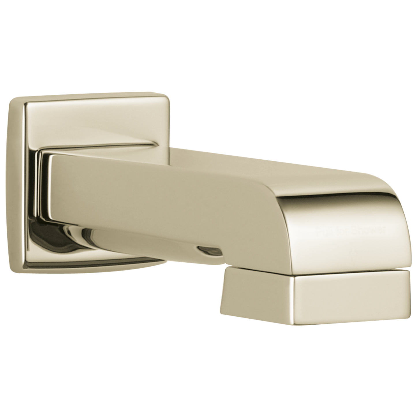 Tub Spout/Pull-down Diverter Assembly