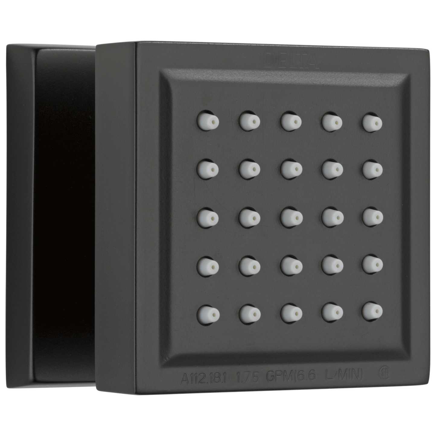 Delta Surface Mount Body In Lumicoat Shower Body Spray – With Body Jets