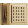 Delta Surface Mount Body In Lumicoat Shower Body Spray – With Body Jets