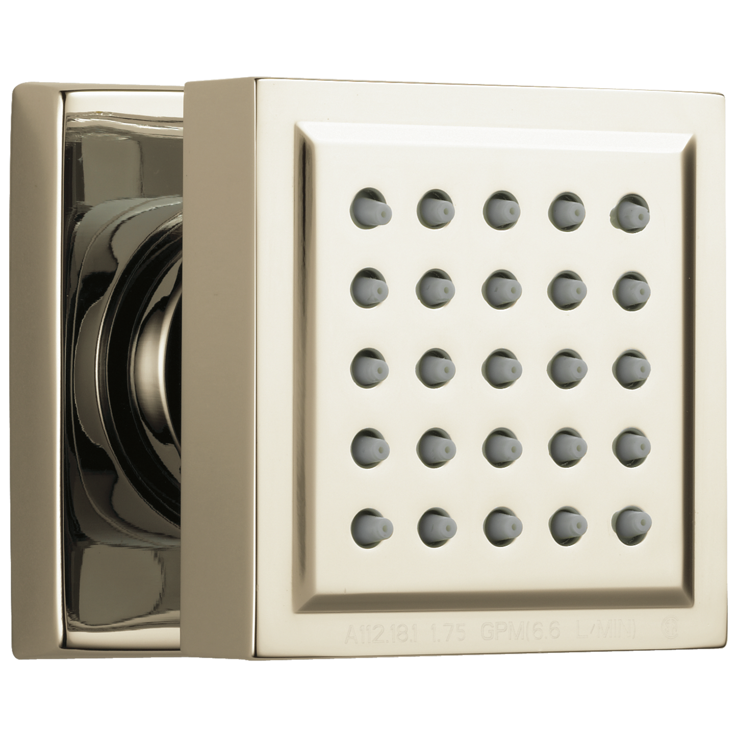 Delta Surface Mount Body In Lumicoat Shower Body Spray – With Body Jets