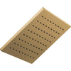 Universal Showering Raincan Single-setting 12" Metal - Champagne Bronze