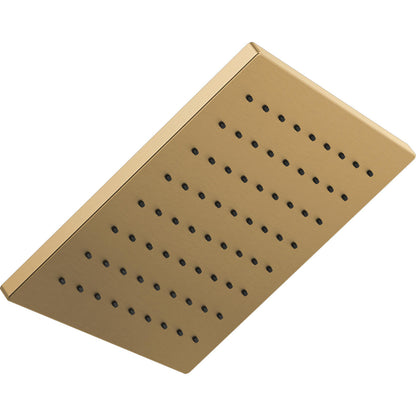 Universal Showering Raincan Single-setting 12" Metal - Champagne Bronze