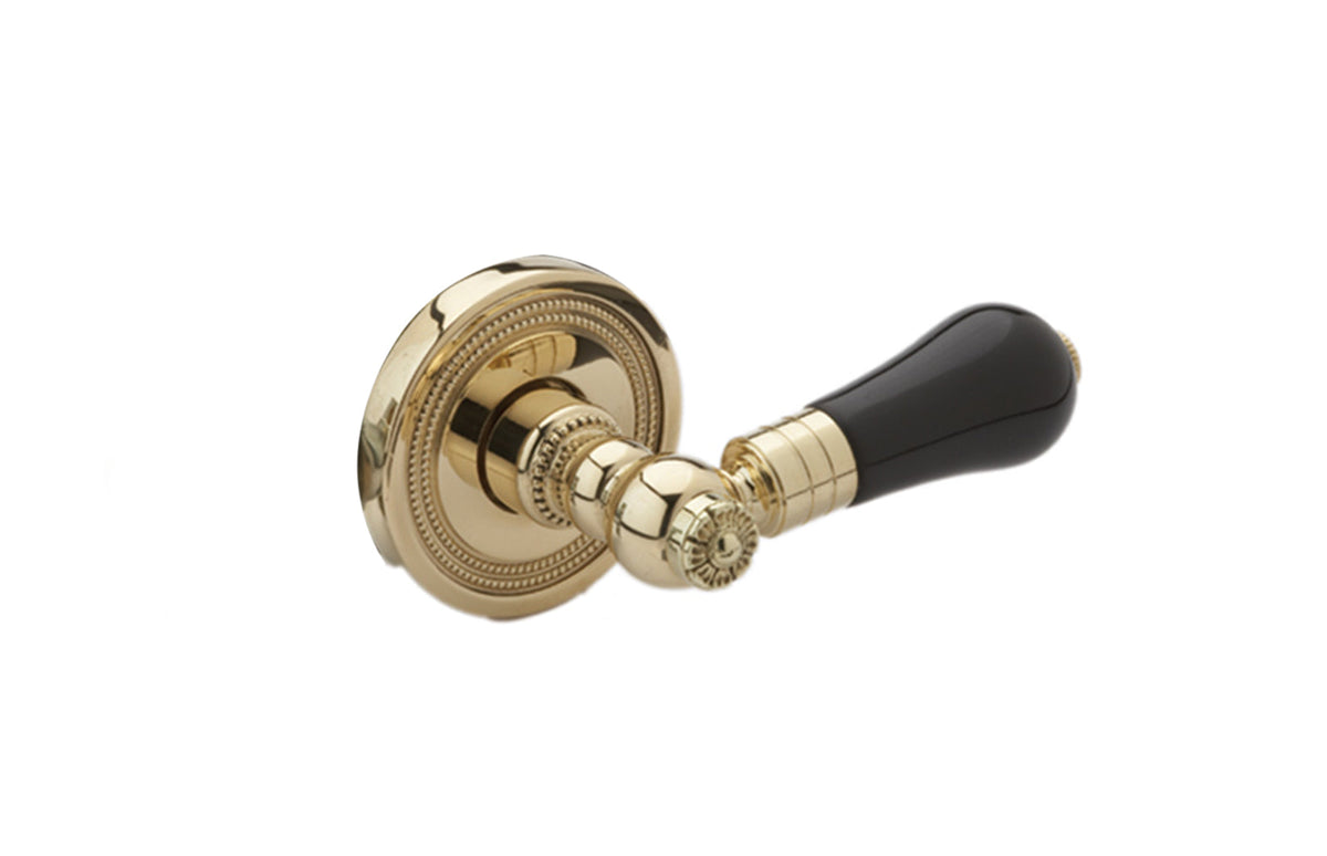 FRIENZE BLACK ONYX Door Lever & Rose 5230