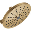 Universal Showering 3 Setting H2OKINETIC Transitional Raincan Shower Head - Lumicoat Champagne Bronze