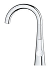 Grohe Zedra Single-Handle Beverage Faucet (Cold Water Only) With Filtration 1.75 Gpm - Golzar Home